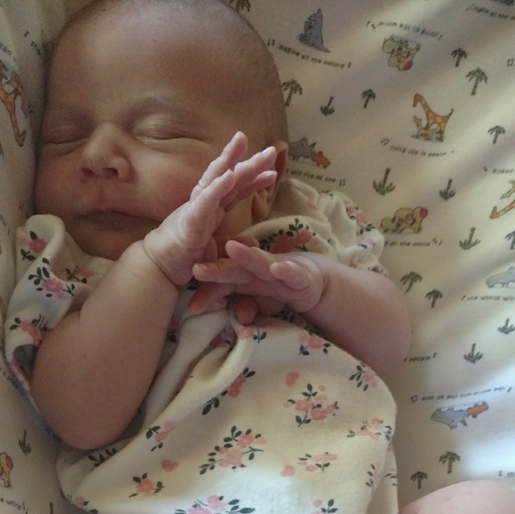 Meet your Posher, Deidre - Picture 8 of 11